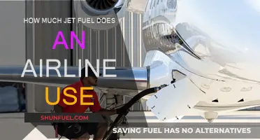 Airlines' Jet Fuel Consumption: How Much and What Factors Influence It?