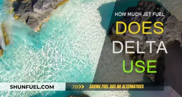 Delta's Jet Fuel Consumption: How Much and Why?