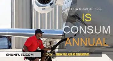 Jet Fuel Consumption: Annual Global Overview