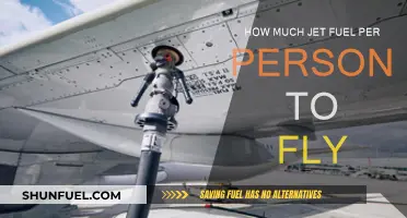 Flying's Fuel Consumption: How Much Jet Fuel Per Passenger?