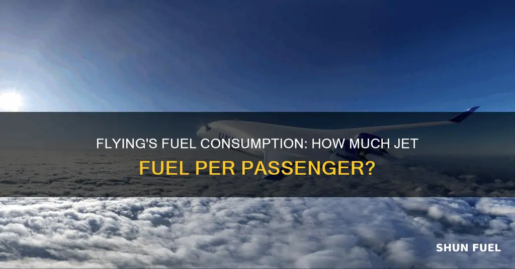 how much jet fuel per person to fly