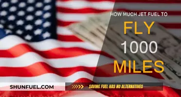 Jet Fuel Consumption: Flying 1000 Miles