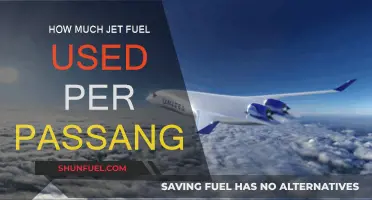 Jet Fuel Consumption: How Much Per Passenger?