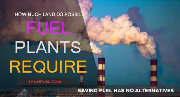 The Land Requirements of Fossil Fuel Plants