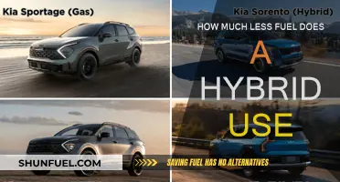 Hybrid Cars: Less Fuel, More Savings