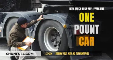 Fuel Efficiency: Losing Out with Every Extra Pound