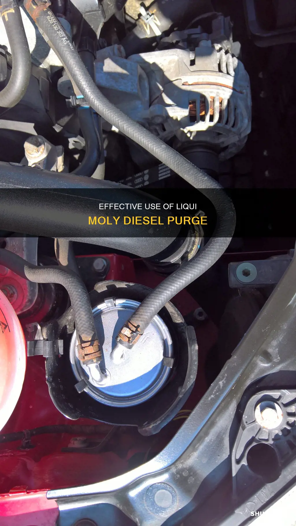 how much liqui moly diesel purge use in fuel tank