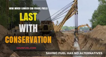 Fossil Fuels' Future: Conservation Efforts and Remaining Lifespan Explored