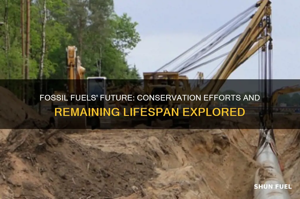 how much longer can fossil fuels last with conservation