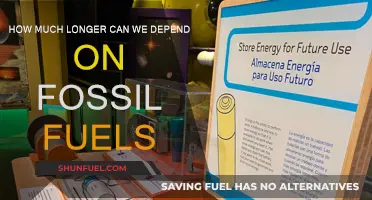 The End of Fossil Fuels: When and What's Next?