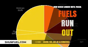 The End of Fossil Fuels: When Will It Happen?