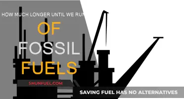 The End of Fossil Fuels: When Will It Happen?