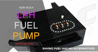 Selecting the Right LPH Fuel Pump: How Much is Enough?