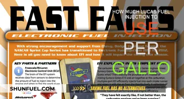 Lucas Fuel Injection: How Much is Enough?