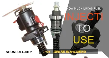 Lucas Fuel Injection: How Much is Enough?