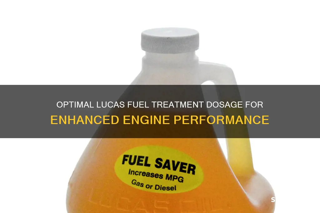 how much lucas fuel treatment do i use
