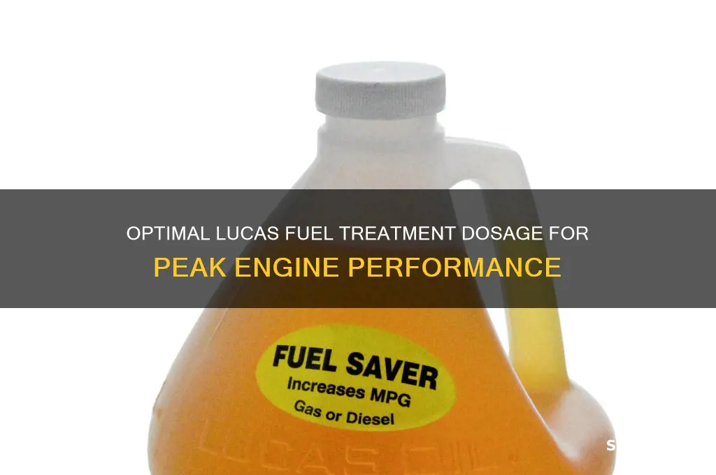 how much lucas fuel treatment to use