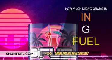 G Fuel's Micro-gram Mystery: How Much is in There?