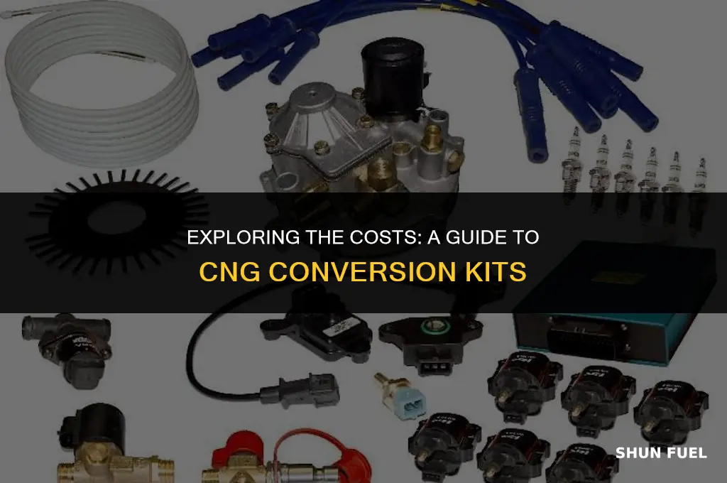 how much money cng conversion kits