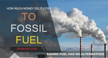 The True Cost of Fossil Fuels: A Pricey Affair