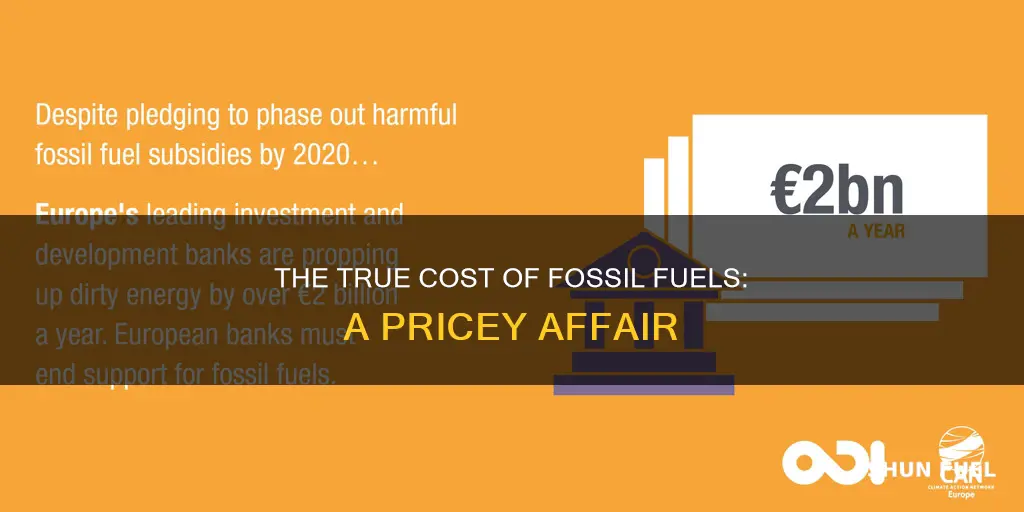 how much money did it cost to fossil fuel
