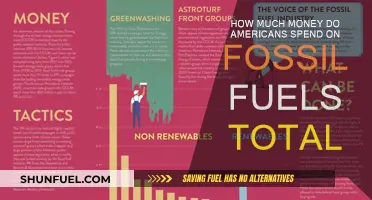 Fossil Fuel Spending: America's Costly Addiction