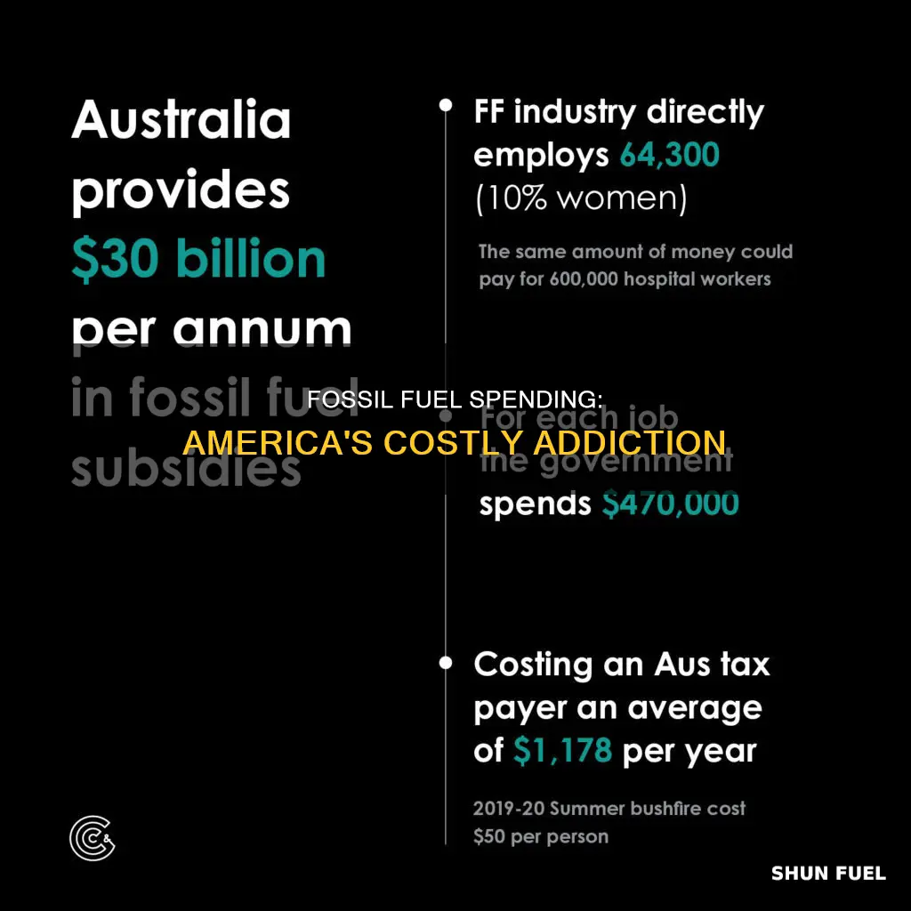 how much money do americans spend on fossil fuels total