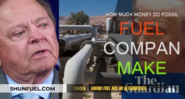 Fossil Fuel Giants: Profits and Losses