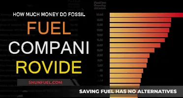 Fossil Fuel Companies: Funding Our Future or Draining Finances?