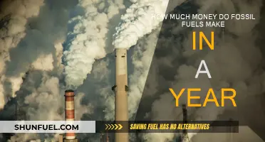 Billions Made: Fossil Fuel Industry's Annual Revenue