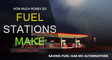 Fuel Stations: Profits and Losses