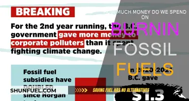 The Cost of Burning Fossil Fuels: A Global Expense