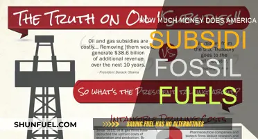 America's Fossil Fuel Subsidies: A Costly Addiction