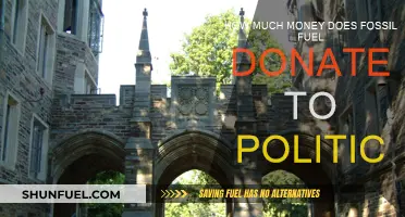 Fossil Fuel's Political Donations: A Dangerous Influence