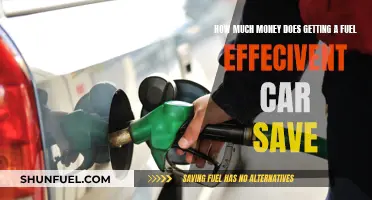 Fuel-Efficient Cars: How Much Money Can You Save?