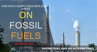 New Jersey's Spending on Fossil Fuels: A Costly Affair