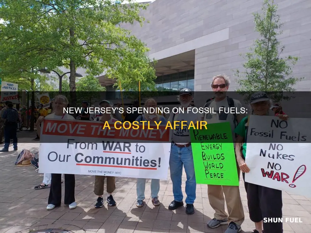 how much money does new jersey spend on fossil fuels