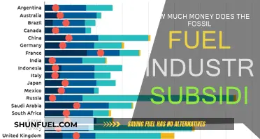 The Fossil Fuel Industry: Who Benefits from Subsidies?