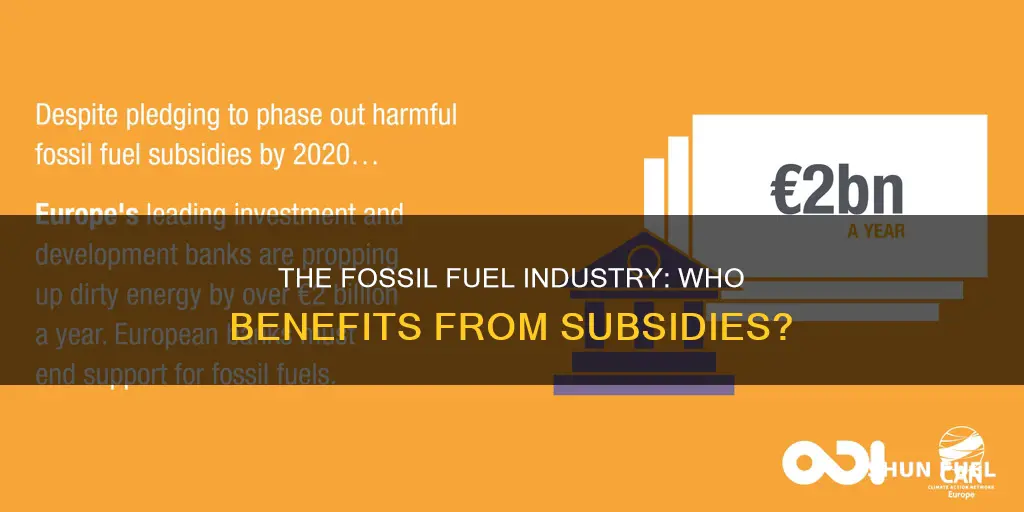 how much money does the fossil fuel industry subsidies