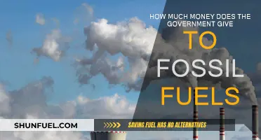 The Government's Support for Fossil Fuels: A Costly Affair