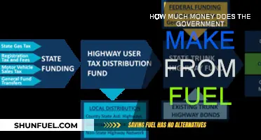 Exploring Government Profits from Fuel Taxes and Beyond
