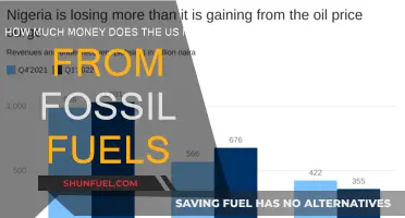 The US Fossil Fuel Industry: Money and Profits