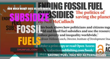 Unveiling the Cost: U.S. Government's Fossil Fuel Subsidies Revealed