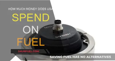 The USA's Fuel Expenditure: A Costly Affair