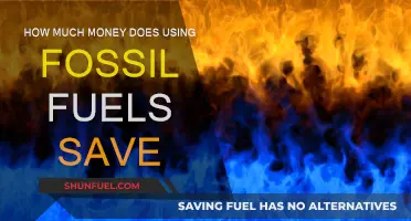 Fossil Fuels: Energy Savings or Environmental Cost?