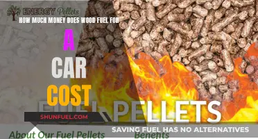 Wood-Fueled Cars: Costly Commute or Cash-Saving Cruise?