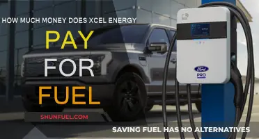 Xcel Energy's Fuel Costs: Who Pays?