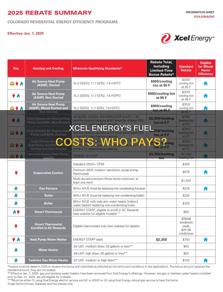 how much money does xcel energy pay for fuel
