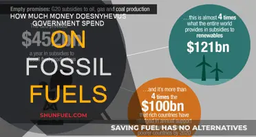 The Government's Spending on Fossil Fuels: A Costly Affair