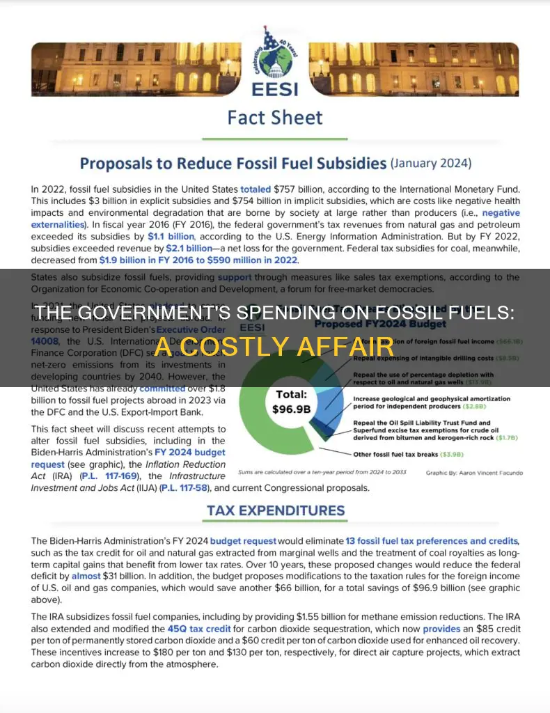 how much money doesnyhevus government spend on fossil fuels